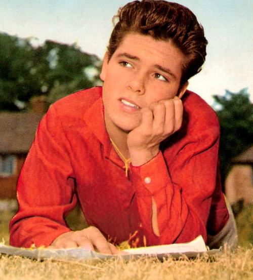 Sir Cliff Richard. Photo : Wikipedia