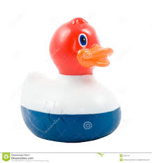 Dutch duck