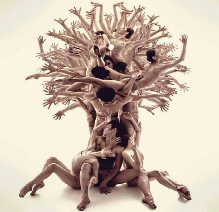 Artwork for 'Paradisio'